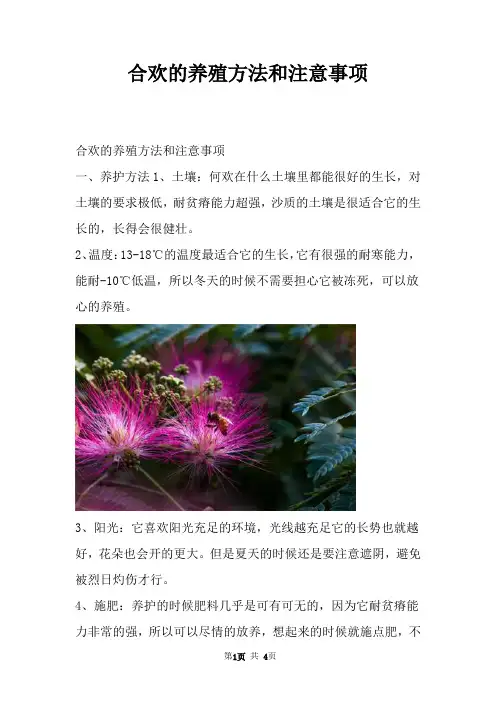 合欢的养殖方法和注意事项