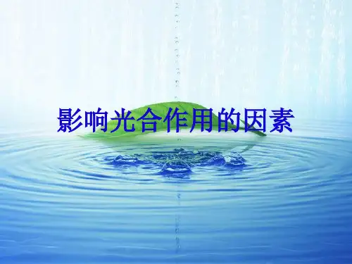 高一生物影响光合作用的因素