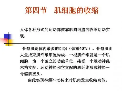 4.肌细胞收缩