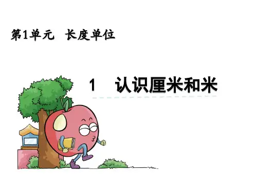 米和厘米的认识