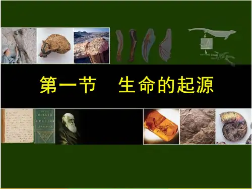 第一节 生命的起源资料