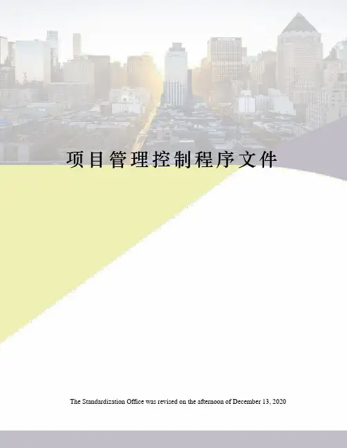 项目管理控制程序文件