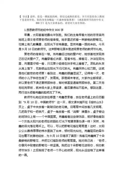 感恩教师节的初中作文800字5篇