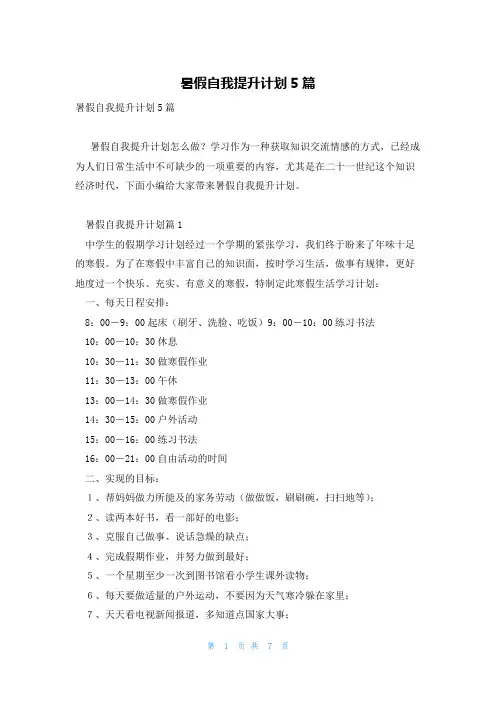 暑假自我提升计划5篇