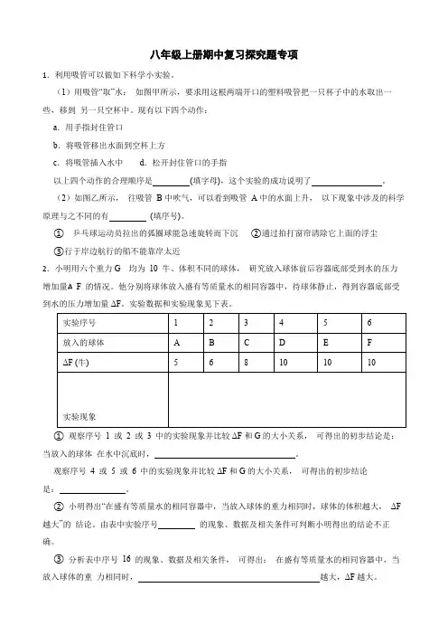 期中复习探究题专项练习--浙教版科学八年级上册