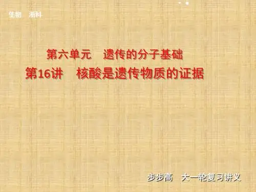【步步高】高考生物一轮复习 第六单元 第16讲 核酸是遗传物质的证据名师优质课件 浙科版 
