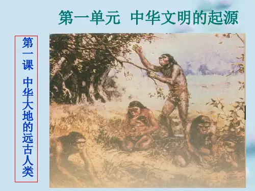 中华大地的远古人类ppt20 北师大版