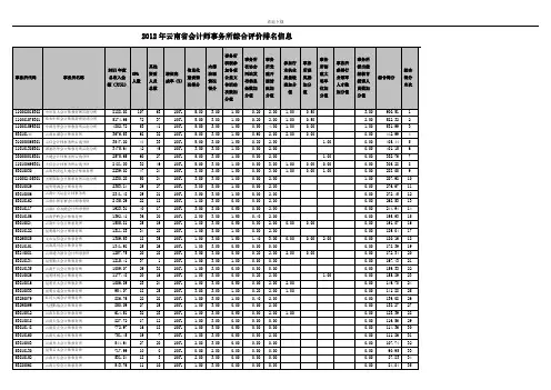 2012年云南会计师事务所综合评价排名信息