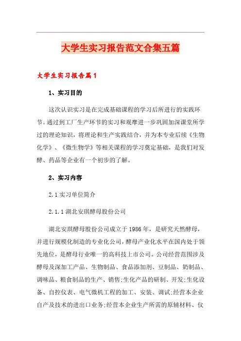 大学生实习报告范文合集五篇(精选汇编)
