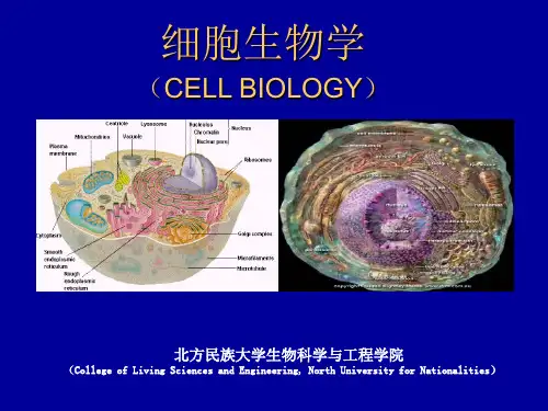 细胞生物学绪论ppt课件