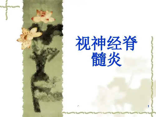 视神经脊髓炎PPT课件