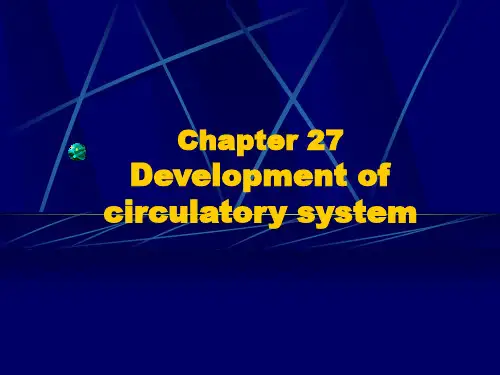 组织学与胚胎学英文课件------e27