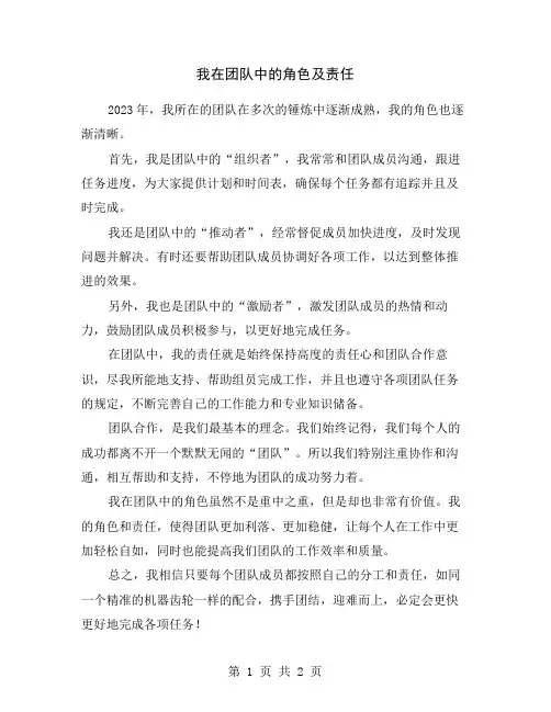 我在团队中的角色及责任