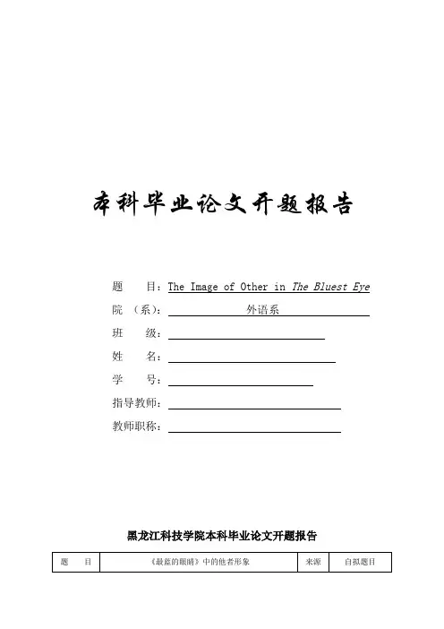最蓝的眼睛 论文开题报告