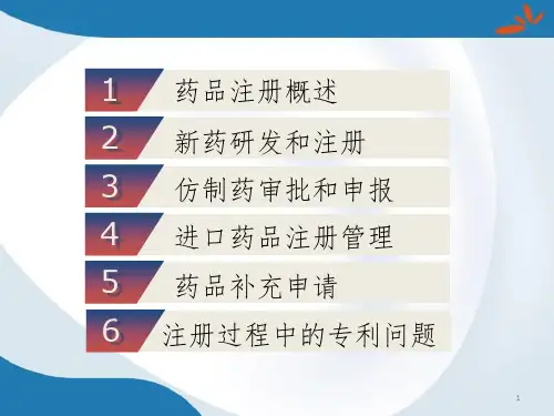 药品注册管理制度PPT参考幻灯片