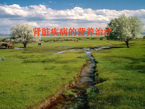 肾脏疾病ppt课件