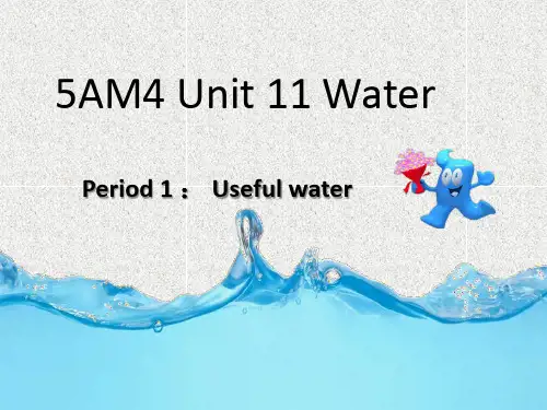 牛津上海版(深圳)五年级上学期unit 11《water》(第3课时