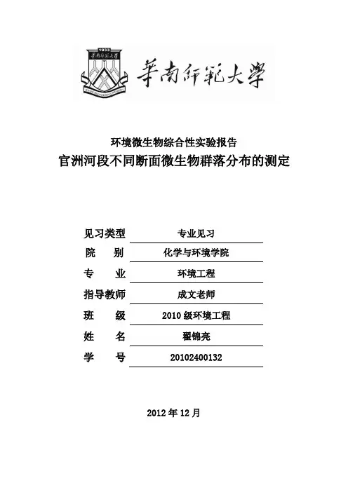 环境微生物综合性实验报告