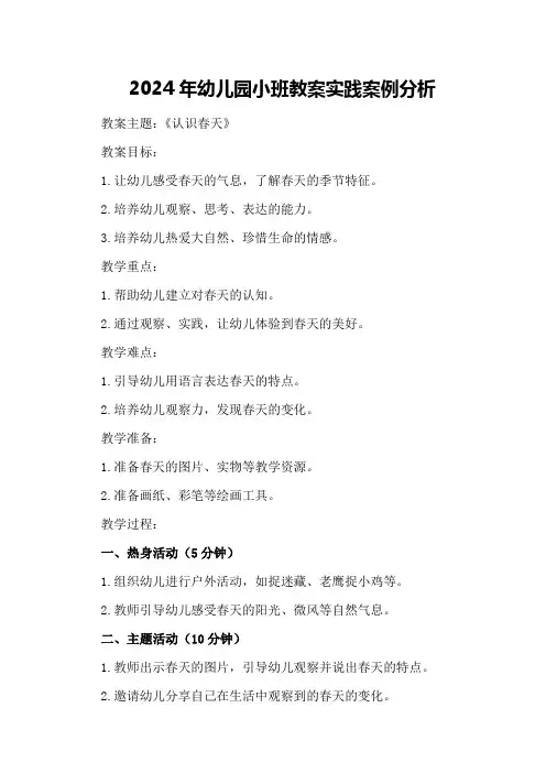 2024年幼儿园小班教案实践案例分析