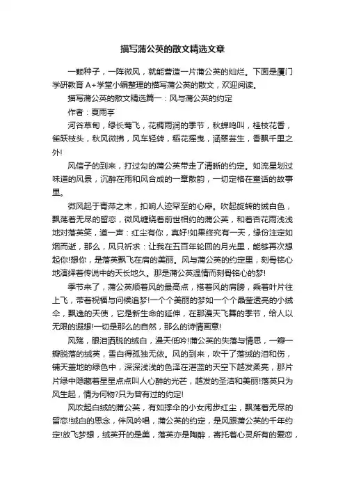 描写蒲公英的散文精选文章