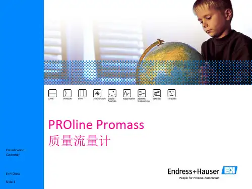 E+H质量流量计课件