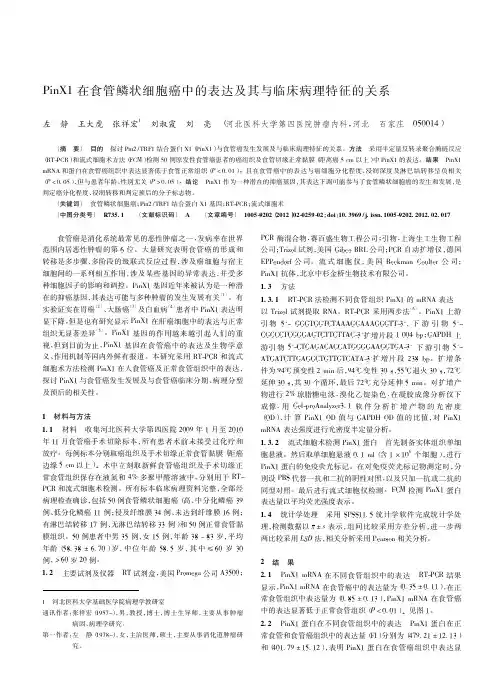 PinX1在食管鳞状细胞癌中的表达及其与临床病理特征的关系