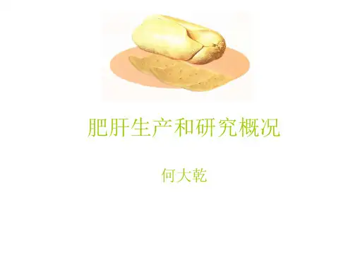 鹅肥肝生产和研究概况