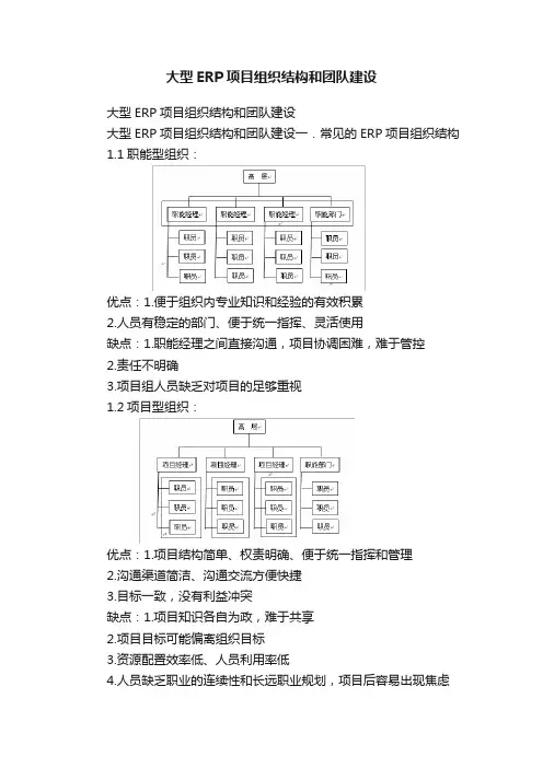 大型ERP项目组织结构和团队建设