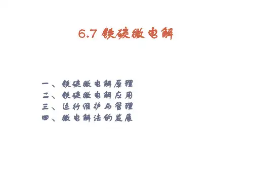 水污染治理技术6.7 铁碳微电解