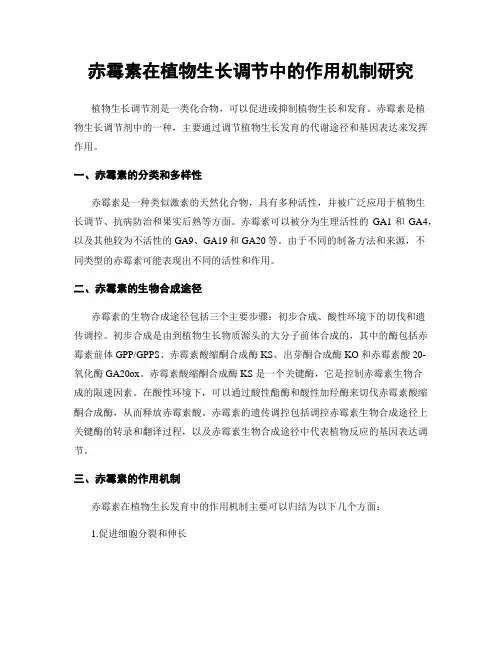 赤霉素在植物生长调节中的作用机制研究