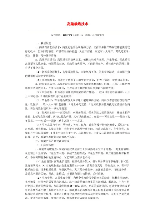 高粱栽培技术