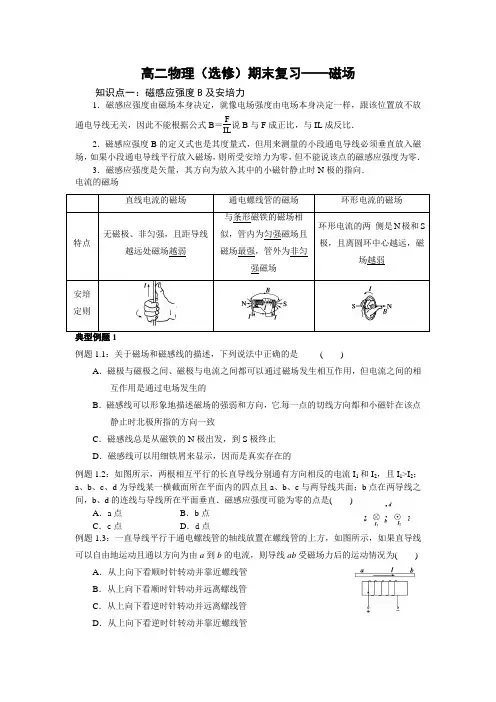 高二物理(选修)期末复习——磁场(学生版)