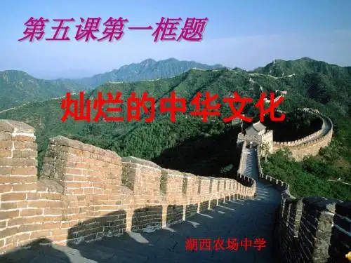 灿烂的中华文化PPT课件7 人教版