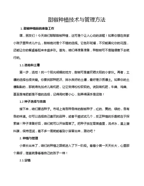 甜椒种植技术与管理方法