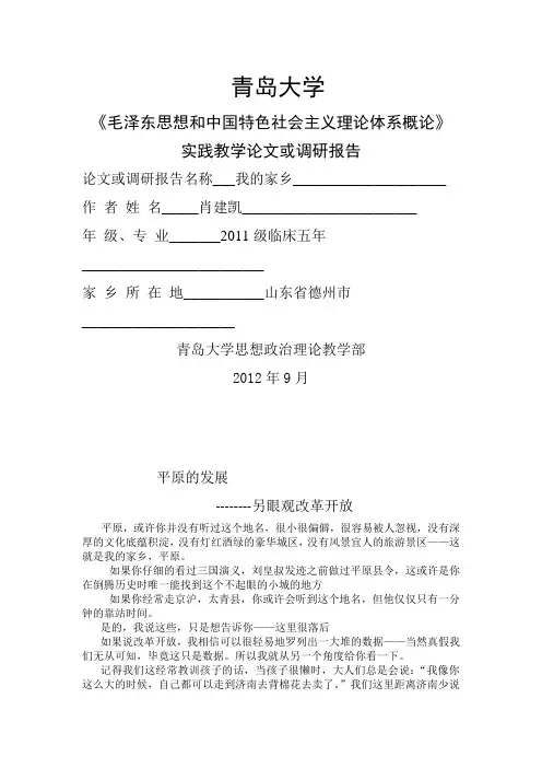 改革开放 家乡的变化毛概论文