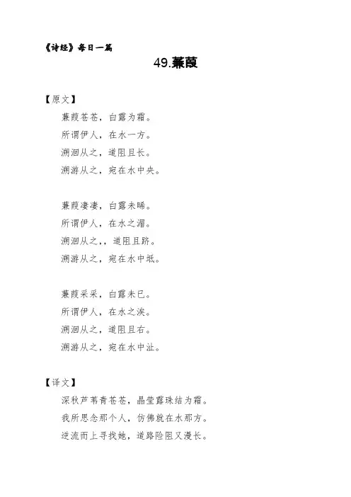 49《蒹葭》原文译文及赏析《诗经》每日一篇