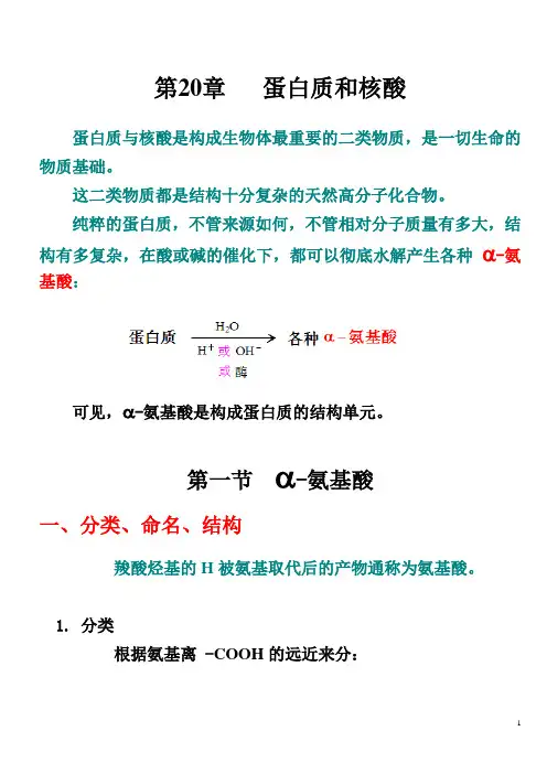 Ch.20 蛋白质和核酸