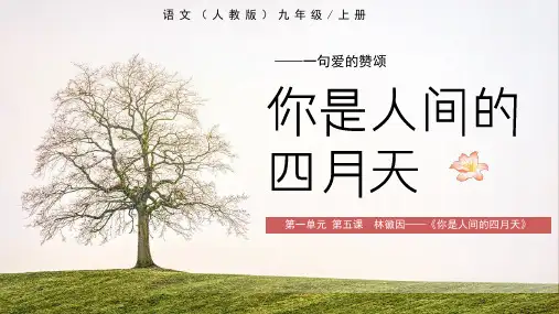 《你是人间的四月天》ppt课件