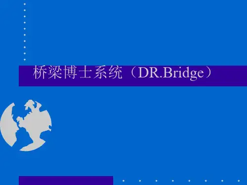 桥梁博士入门
