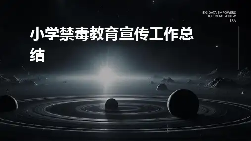 小学禁毒教育宣传工作总结PPT