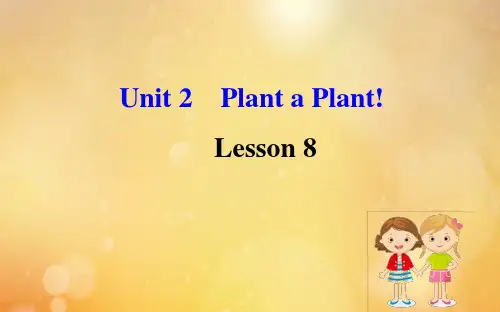 2020冀教版八下英语Unit2Lesson8课件(共18张PPT)