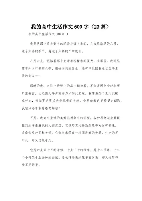 我的高中生活作文600字(23篇)