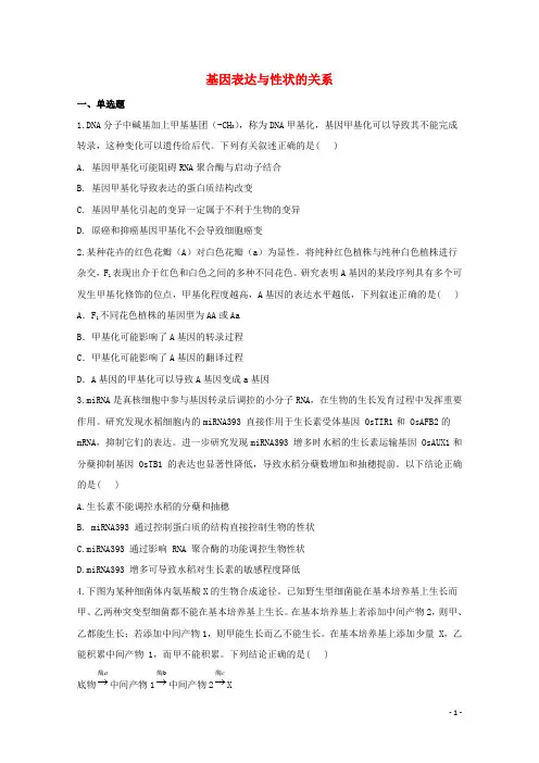 高中生物暑假作业11基因表达与性状的关系能力提升含解析