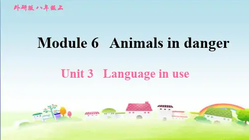 新外研版八年级英语上册Module 6  Unit 3 Language in use【习题课件】