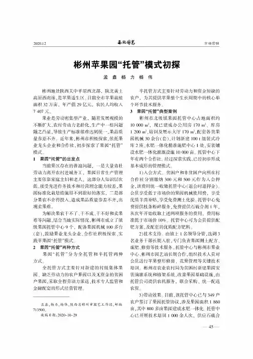 彬州苹果园“托管”模式初探