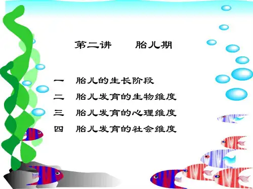 第二讲胎儿期-PPT文档资料