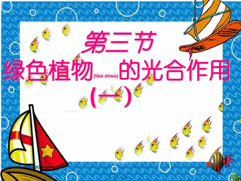 七年级生物上册《光合作用》课件 