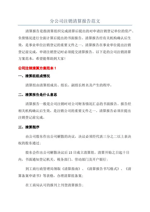 分公司注销清算报告范文