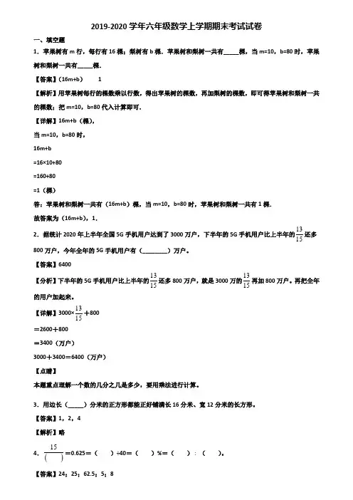 2019-2020学年六年级数学上学期期末考试试卷含解析