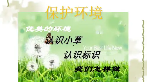 保护环境主题学习-幼儿园课件